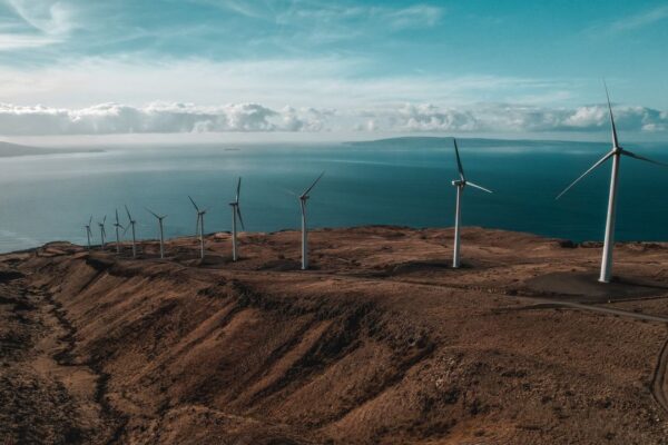 A Clean Energy Certificate is one megawatt-hour sold at quarterly auction